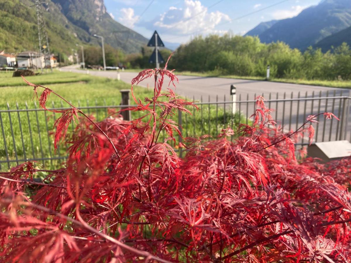 Meraki Dolomiti 隆加罗内 外观 照片